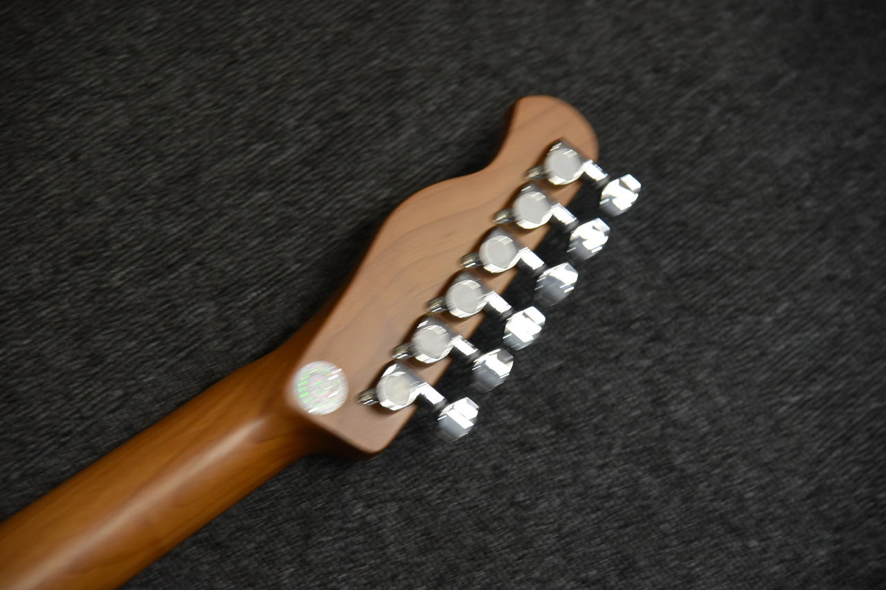 Bacchus BTE-4-RSM/R-BPPG DLPB (Dark Lake Placid Blue)（新品
