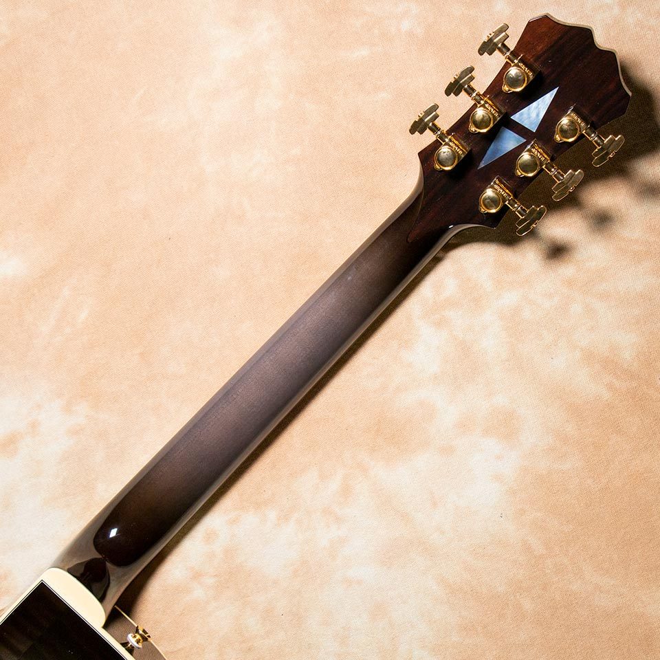 Aria Pro II FA-2100 SBK(See-through Black)【お取り寄せ商品】（新品