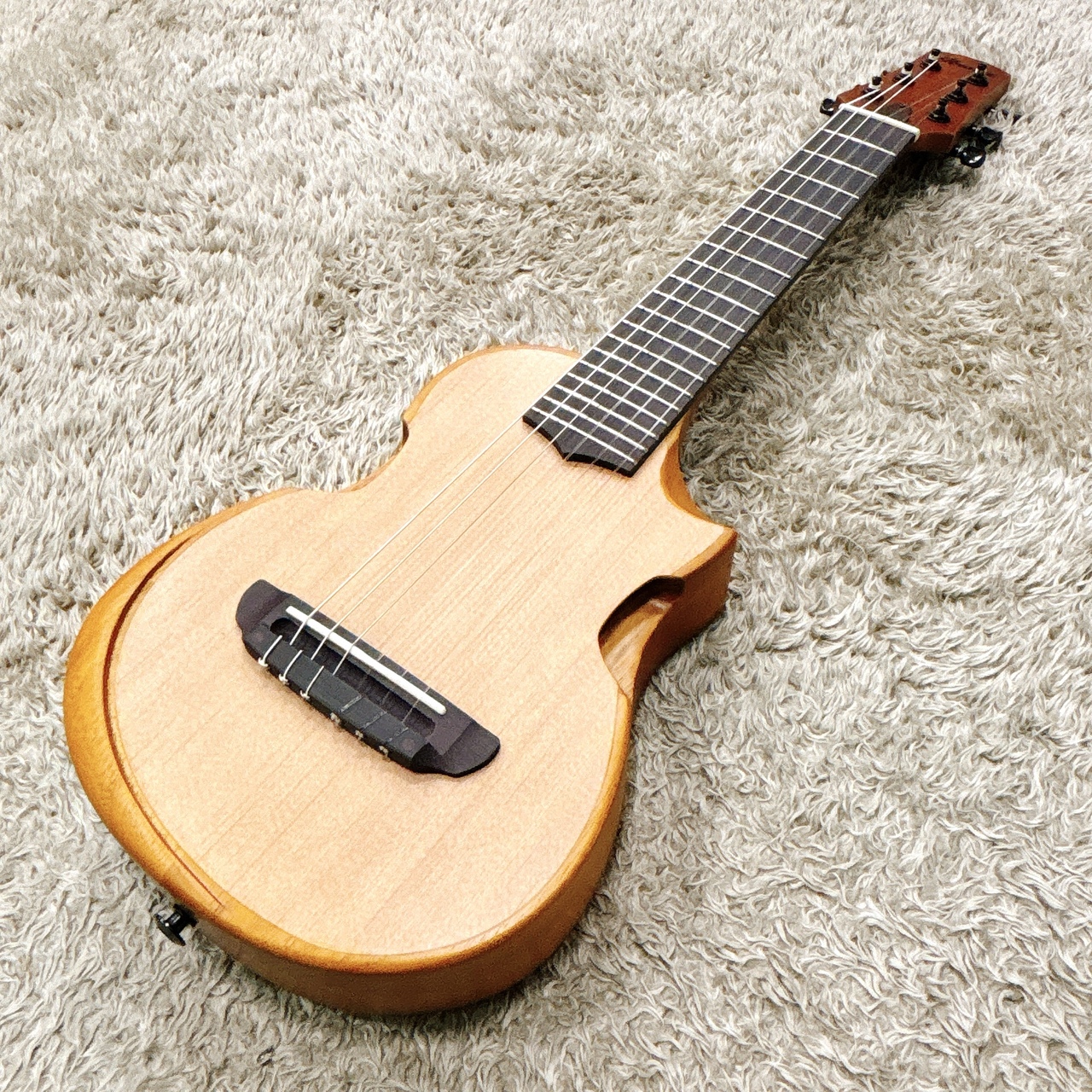 Ibanez AUP10N-OPN (Open Pore Natural) 【SPOT品】【ピッコロ