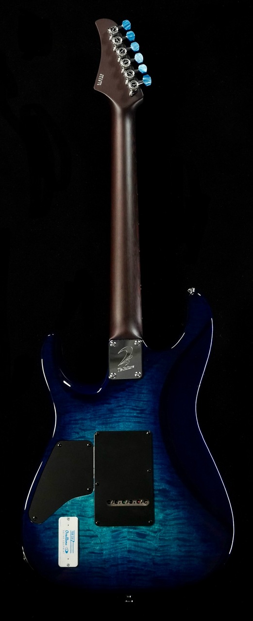 T's Guitars DST-24/5A Exotic Flame Maple Top&Back,BRW FB