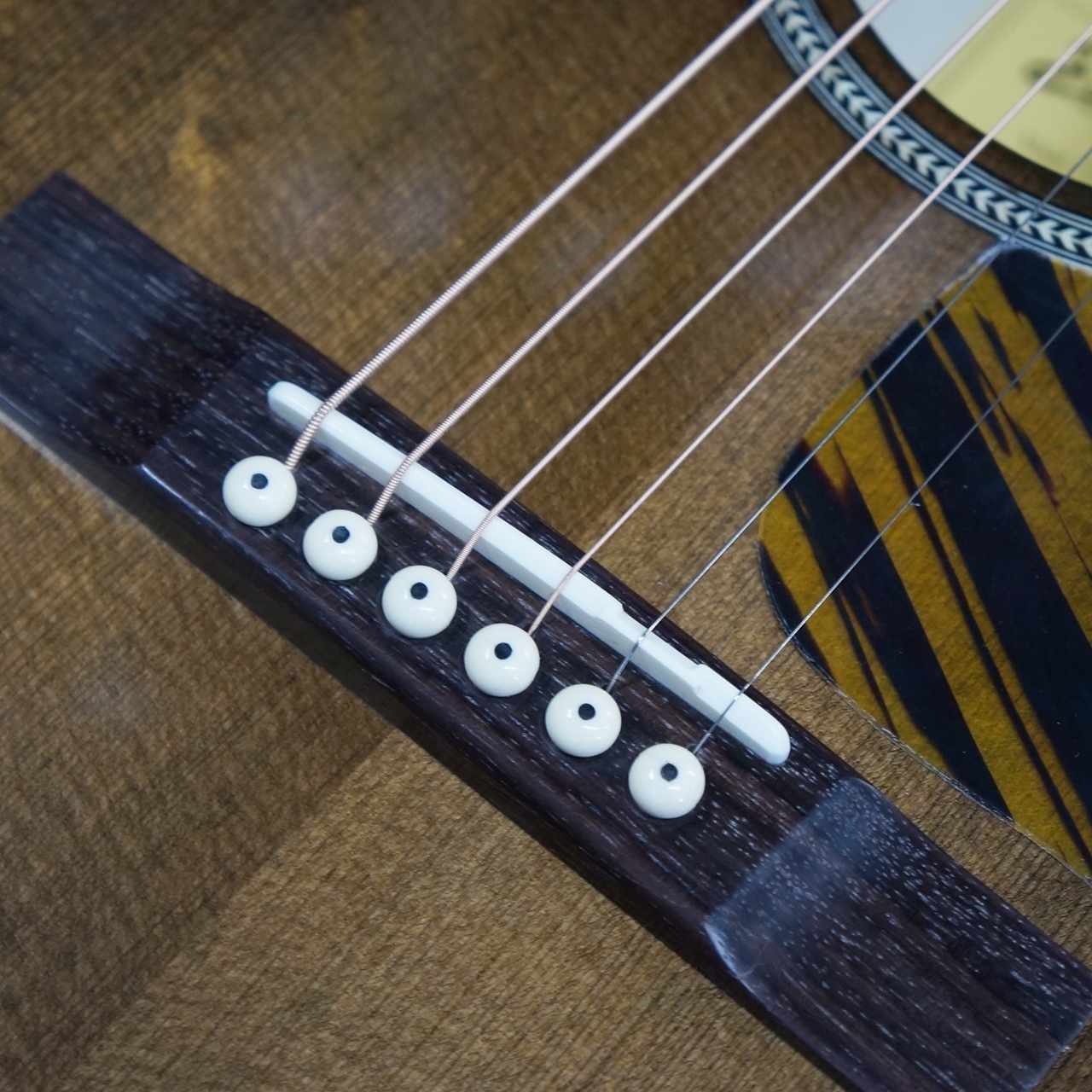 EASTMAN E3-00SS-CLA 美品 Eastman E3-00SS-CLA（新品）【楽器検索デジマート】