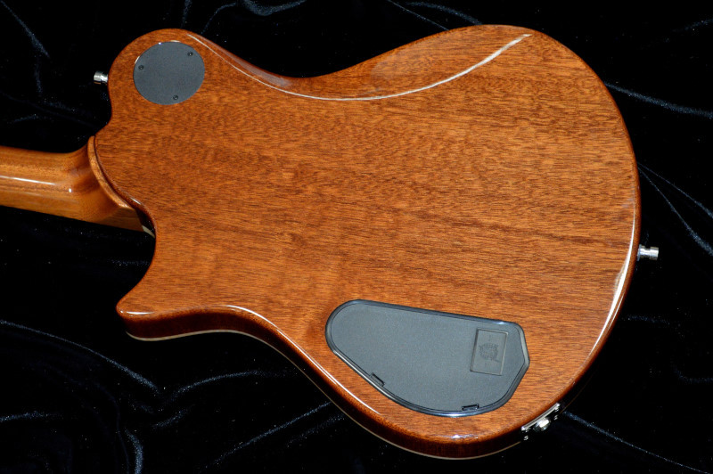 Framus Team Built PantheraII Supreme（中古）【楽器検索デジマート】