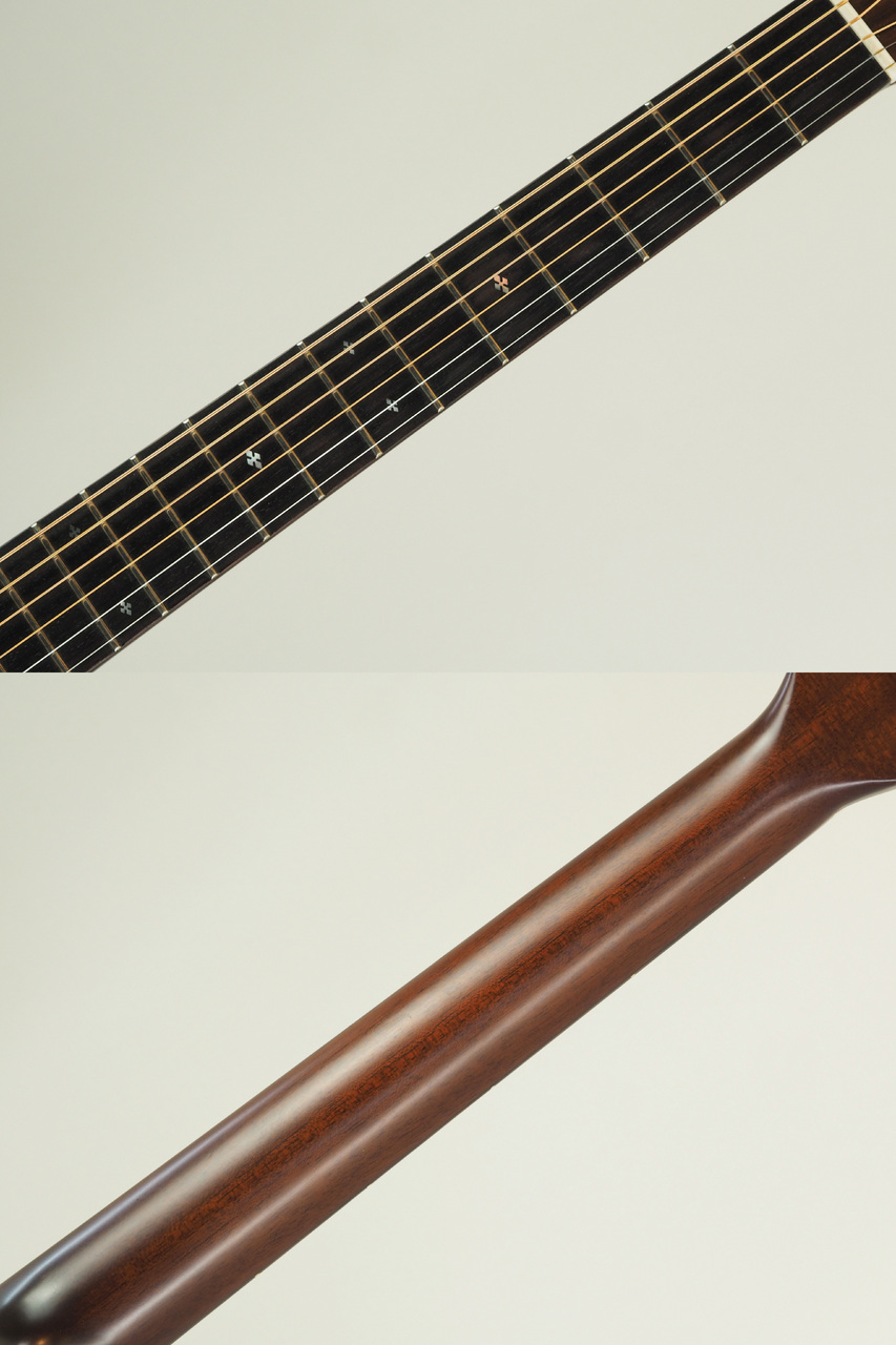 Morris M-60(管理番号4905)（中古）【楽器検索デジマート】