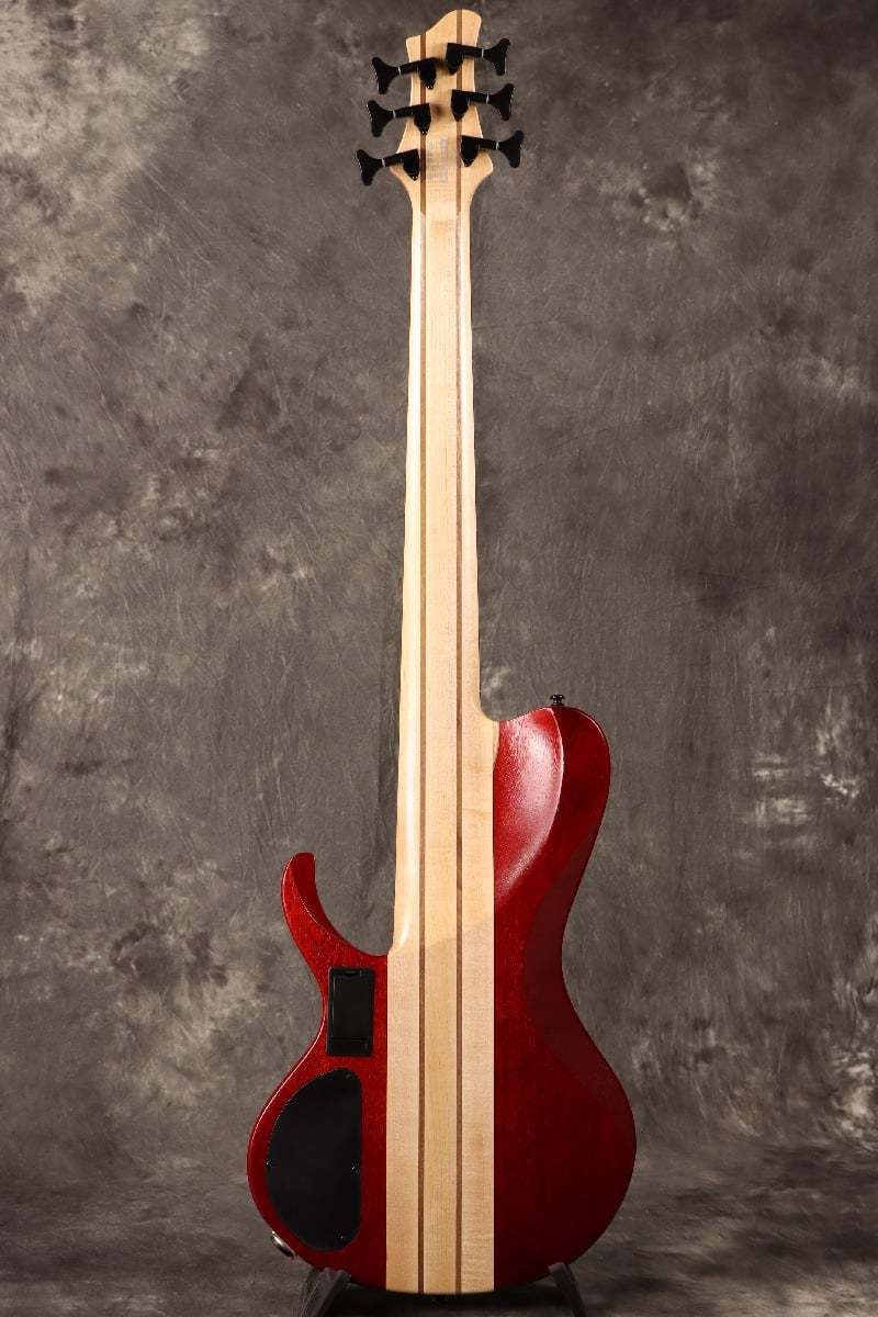 【ANJIさま専用】Ibanez 6弦ベース BTB866SC Ibanez BTB866SC 6-String Electric Bass Weathered Black Low Gloss