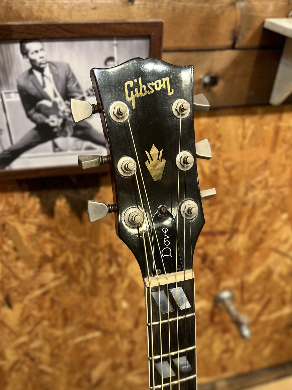 Gibson GIBSON DOVE 【early 70'S】（ビンテージ）【楽器検索デジマート】