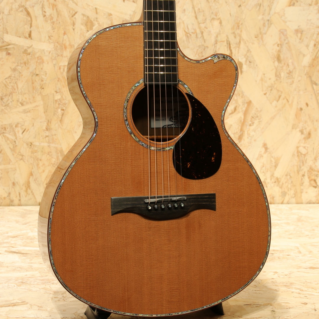 Water Road Guitars Nakagawa Isato Model -30th Anniversary-（新品
