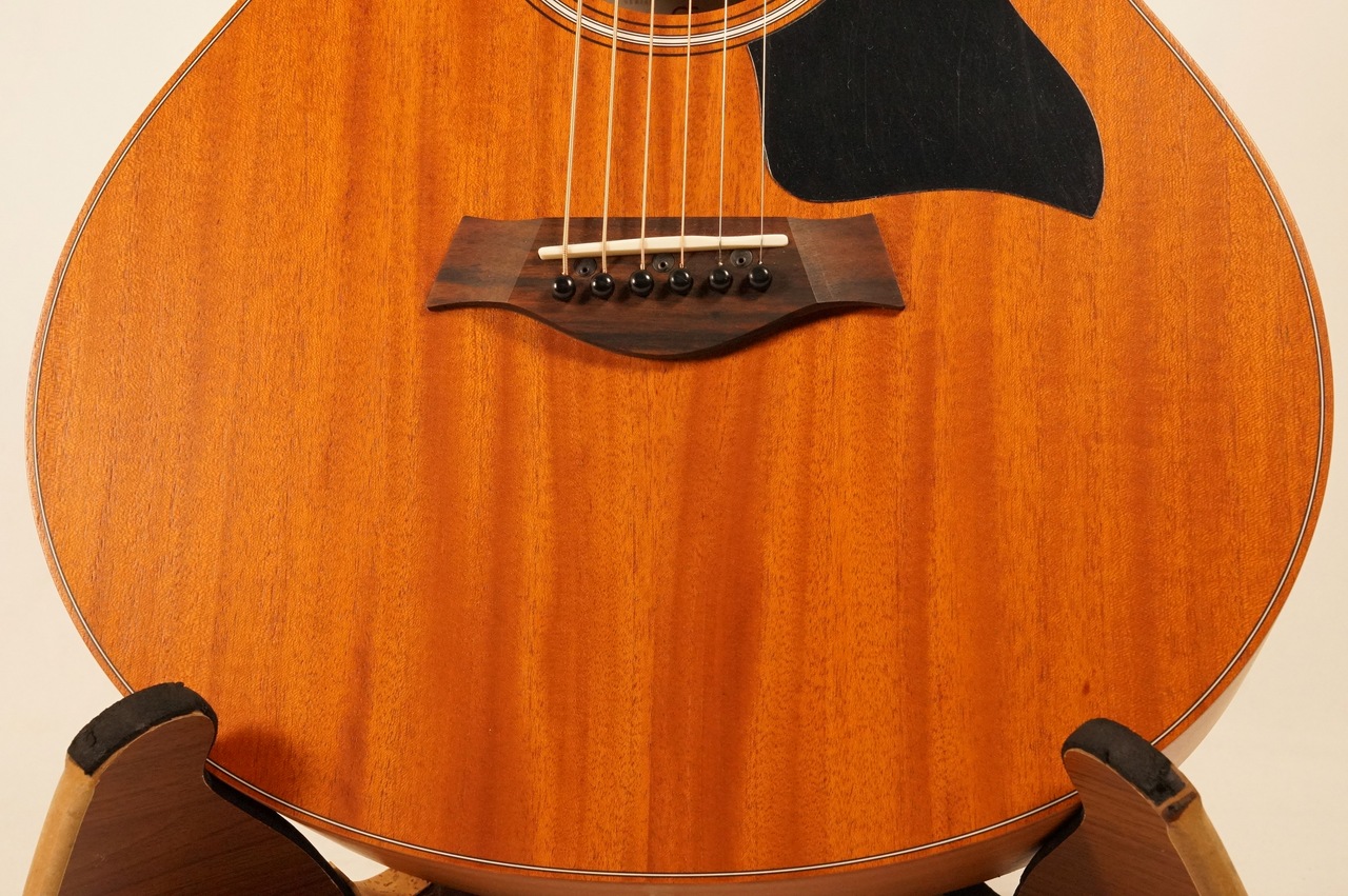Taylor GS-mini-e Mahogany #2202145263（新品）【楽器検索デジマート】
