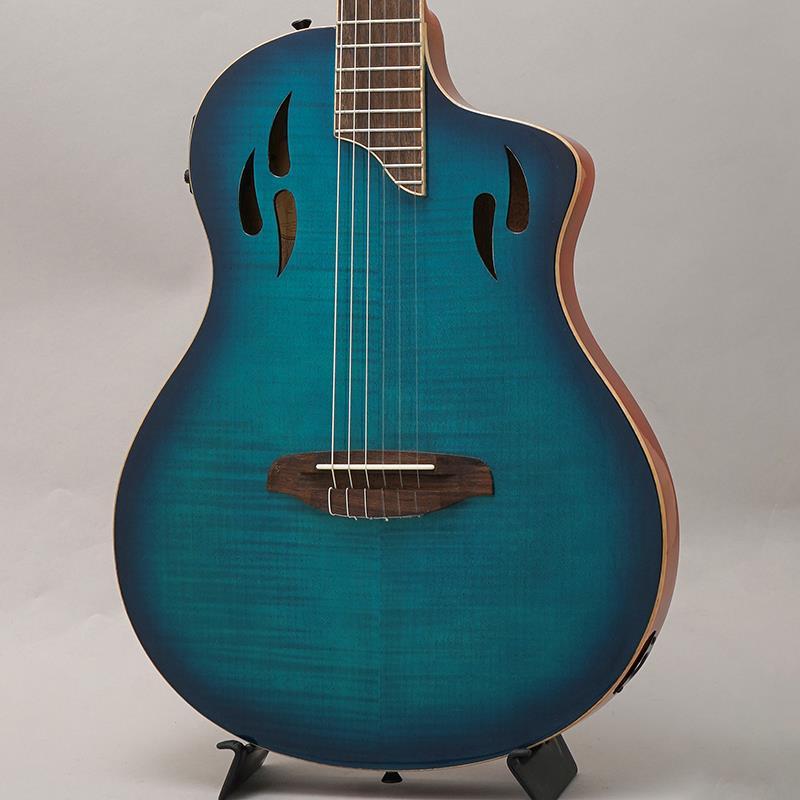 ORTEGA RTPDLX-FMA[エレガット] オルテガ（新品）【楽器検索デジマート】