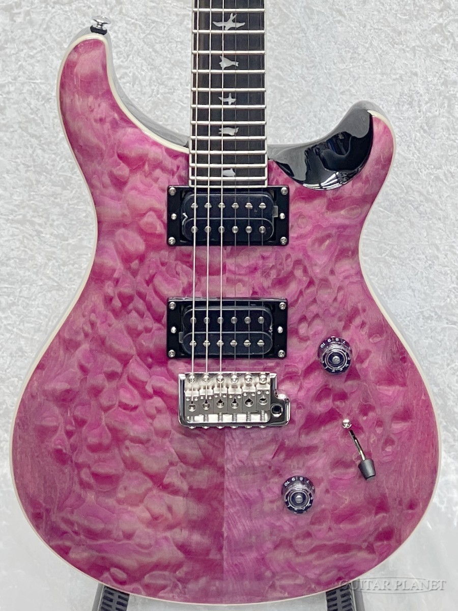 Paul Reed Smith (PRS) Custom 24シリーズ エレキギターCUSTOM24