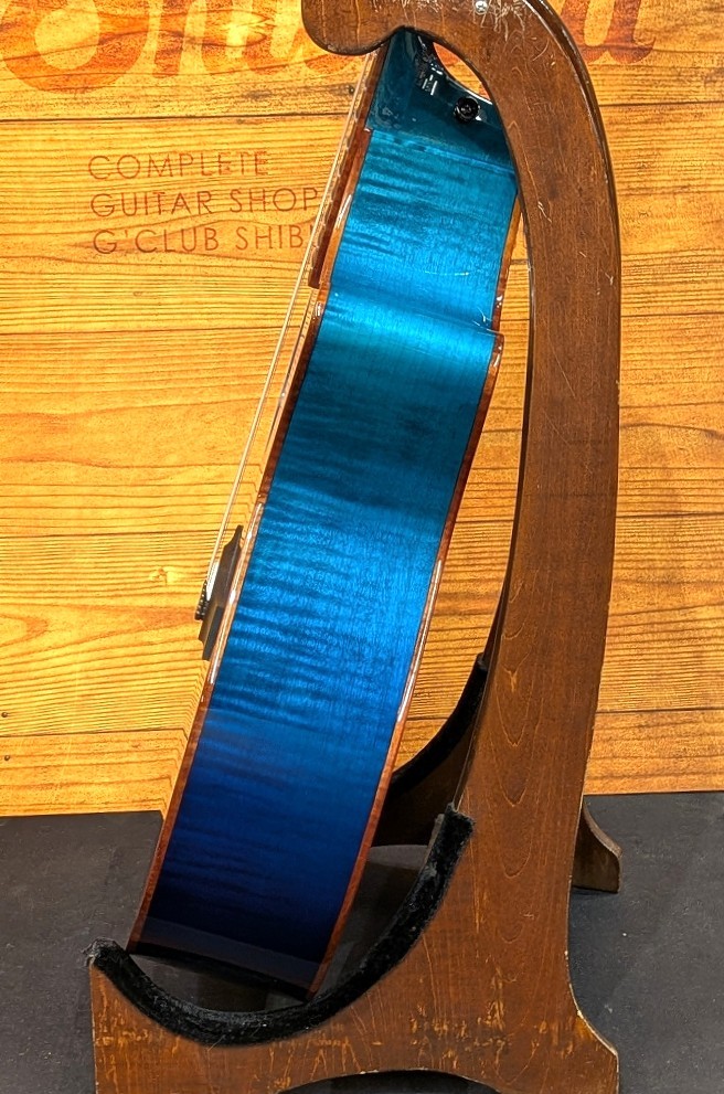 Taylor 【1本限定カスタム】Custom GA AA Flame Maple / Lutz Spruce