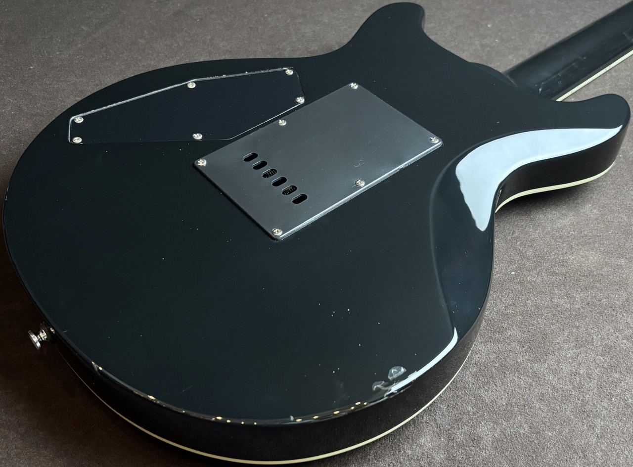 GrassRoots G-KT-CTM（中古）【楽器検索デジマート】