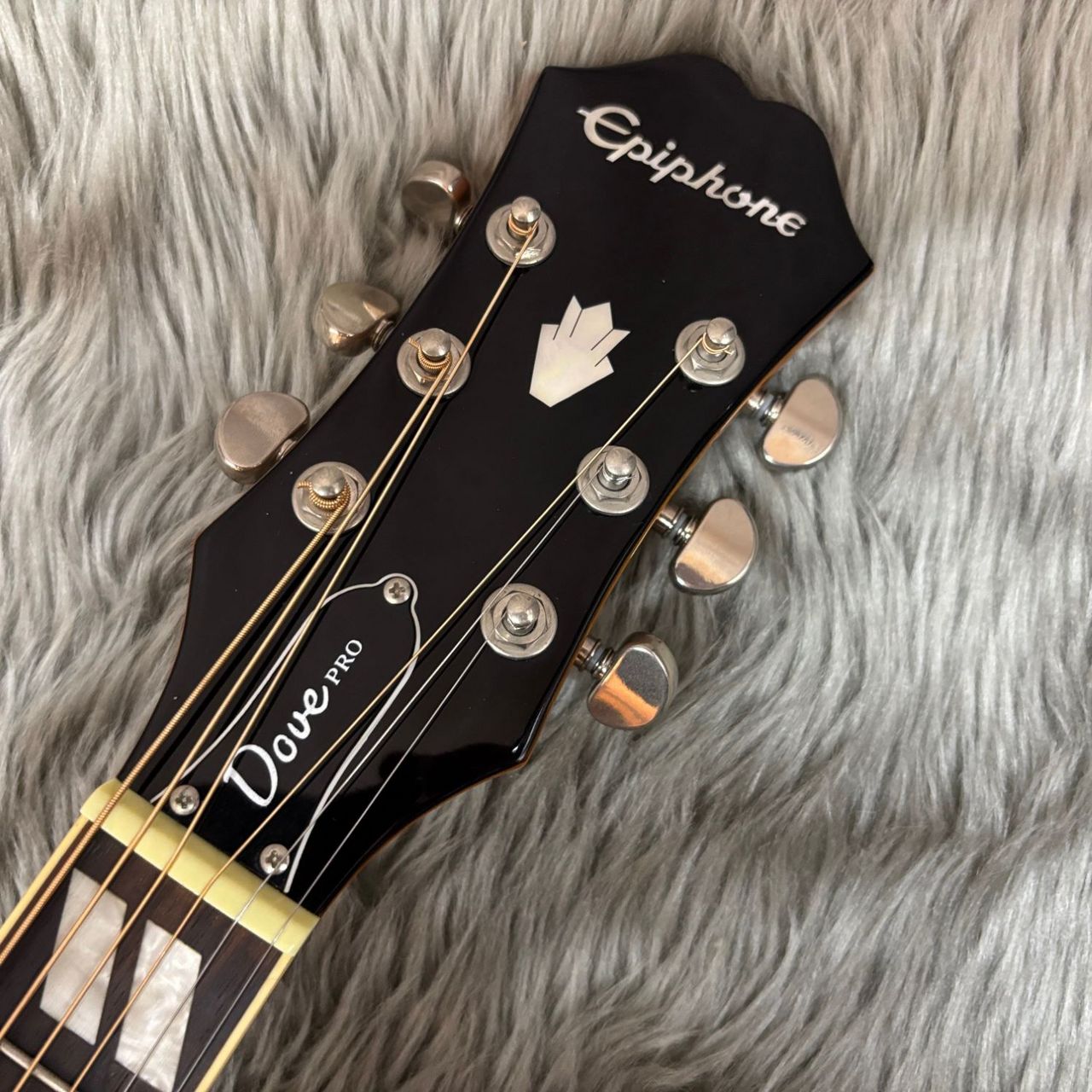 Epiphone Dove Pro アコースティックギター Epiphone Dove Pro アコースティックギター