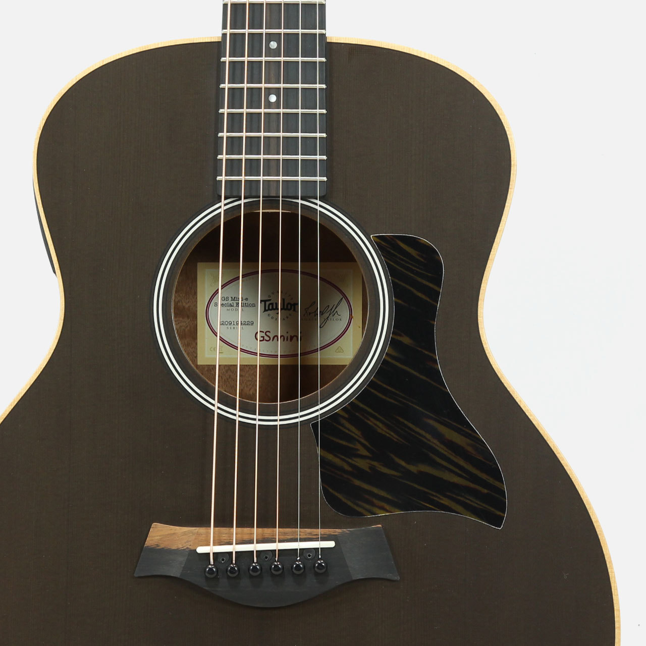 TAYLOR GS Mini-e Special Edition Translucent Black テイラー