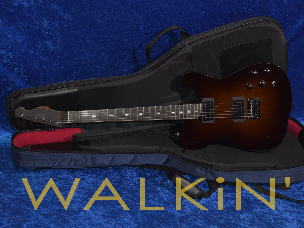 Westville Westel Standard（新品）【楽器検索デジマート】