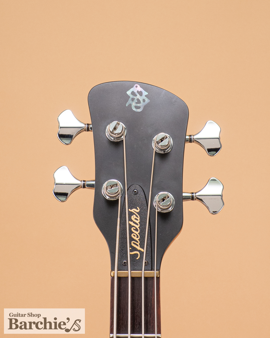 Spector Euro4 LE 1977 40th Anniversary Limited Edition（中古