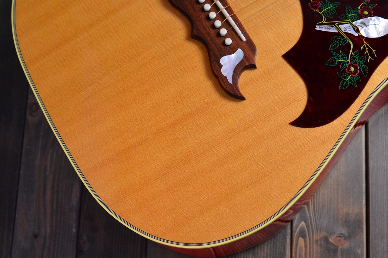 Gibson Dove Original（新品特価/送料無料）【楽器検索デジマート】
