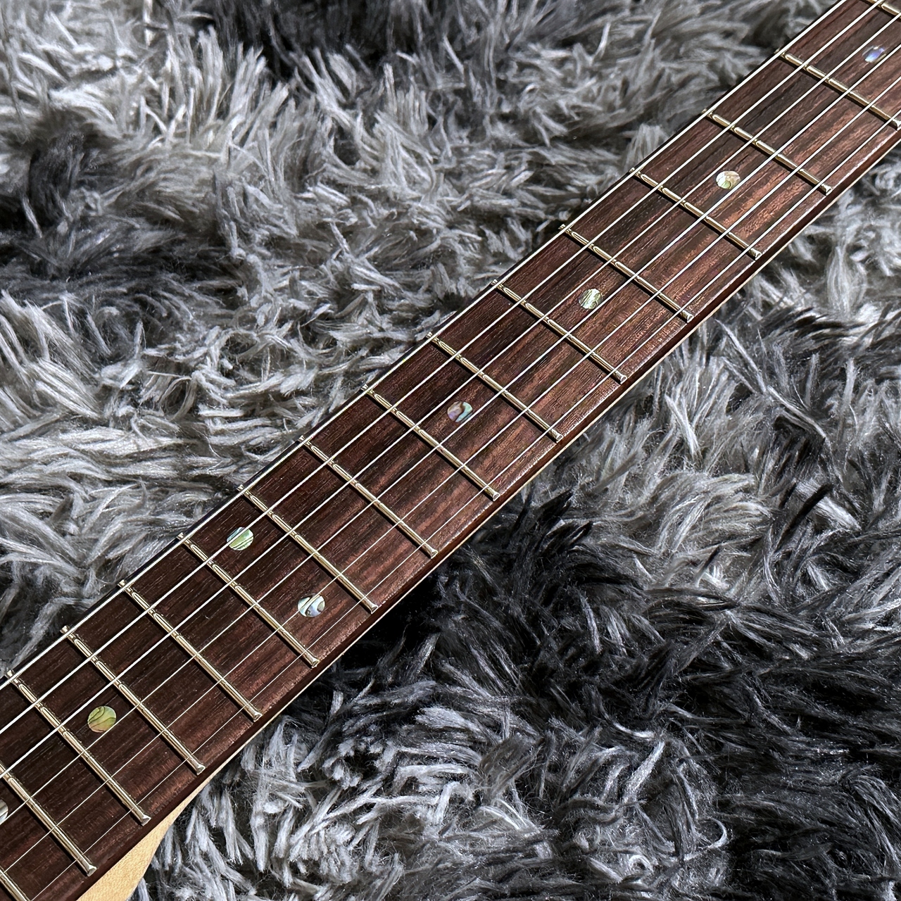 Psychederhythm PSYCHOMASTER-GC LiMITED Super Platinum【2025年製