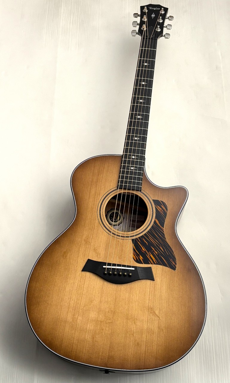 taylor110e SB 美品‼️レアモデル‼️ Taylor 110e Japan Limited 2016（中古/送料無料）【楽器検索