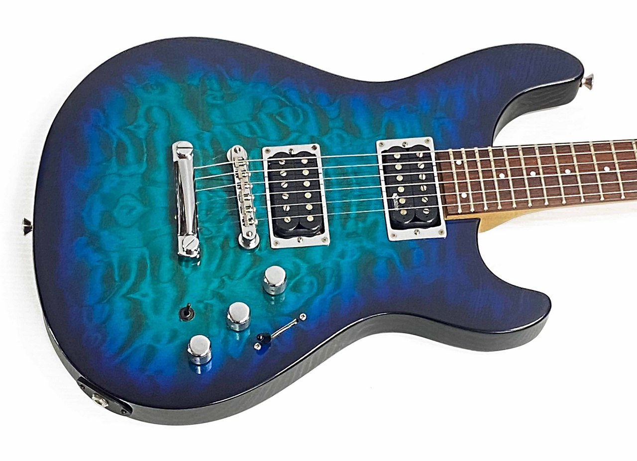 Fernandes APG-65S サスティナー搭載 サウンドサンプルあり】Fernandes APG-65S◇サスティナー搭載