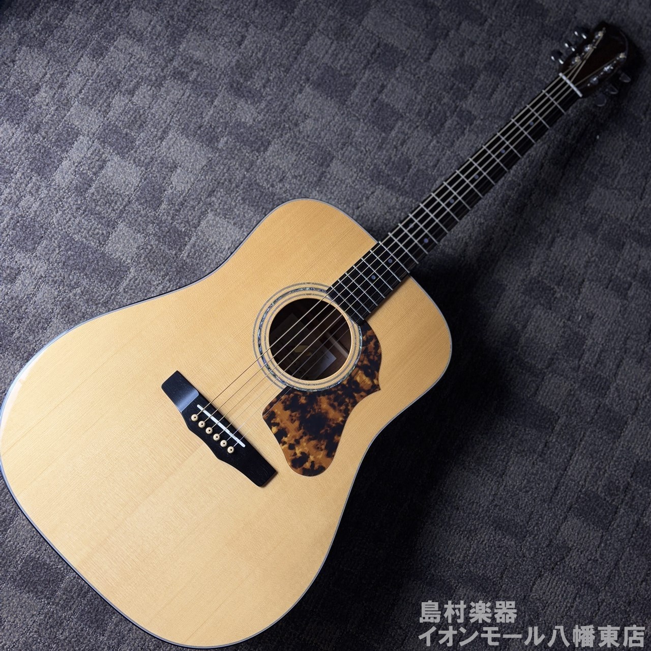 Morris M-80 II #2103002(中古/送料無料)【楽器検索デジマート】 Morris M-80 II #2103002(中古/送料無料)【楽器検索デジマート】
