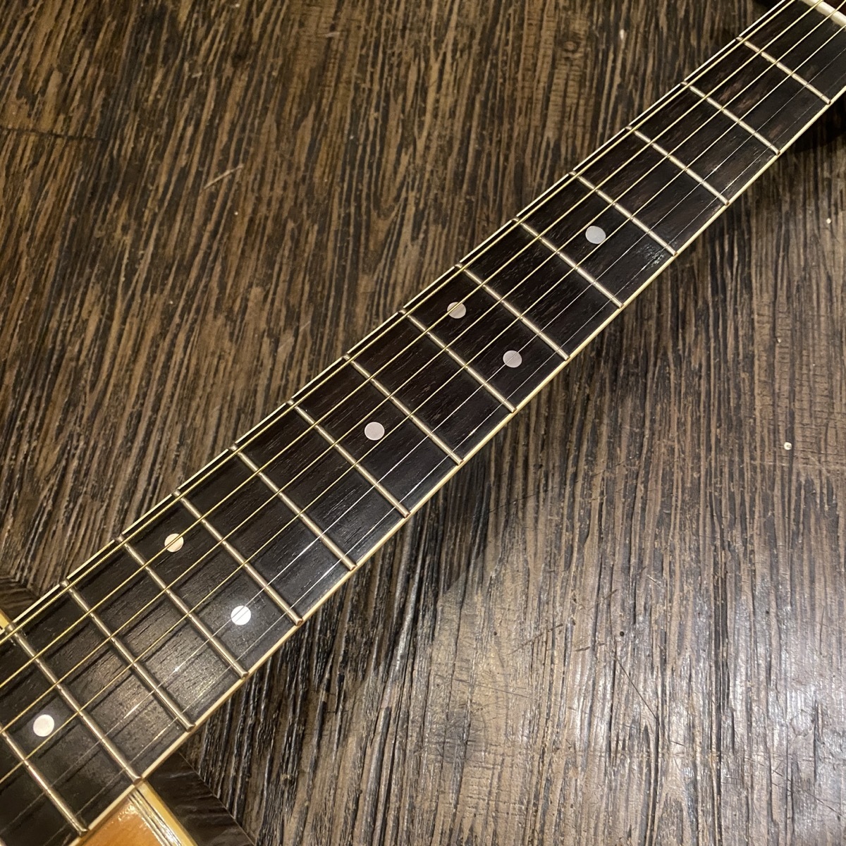 Aria ＆ co アコースティックギター　W-200 ARIA（楽器） Aria W-200 Acoustic Guitar アコースティック