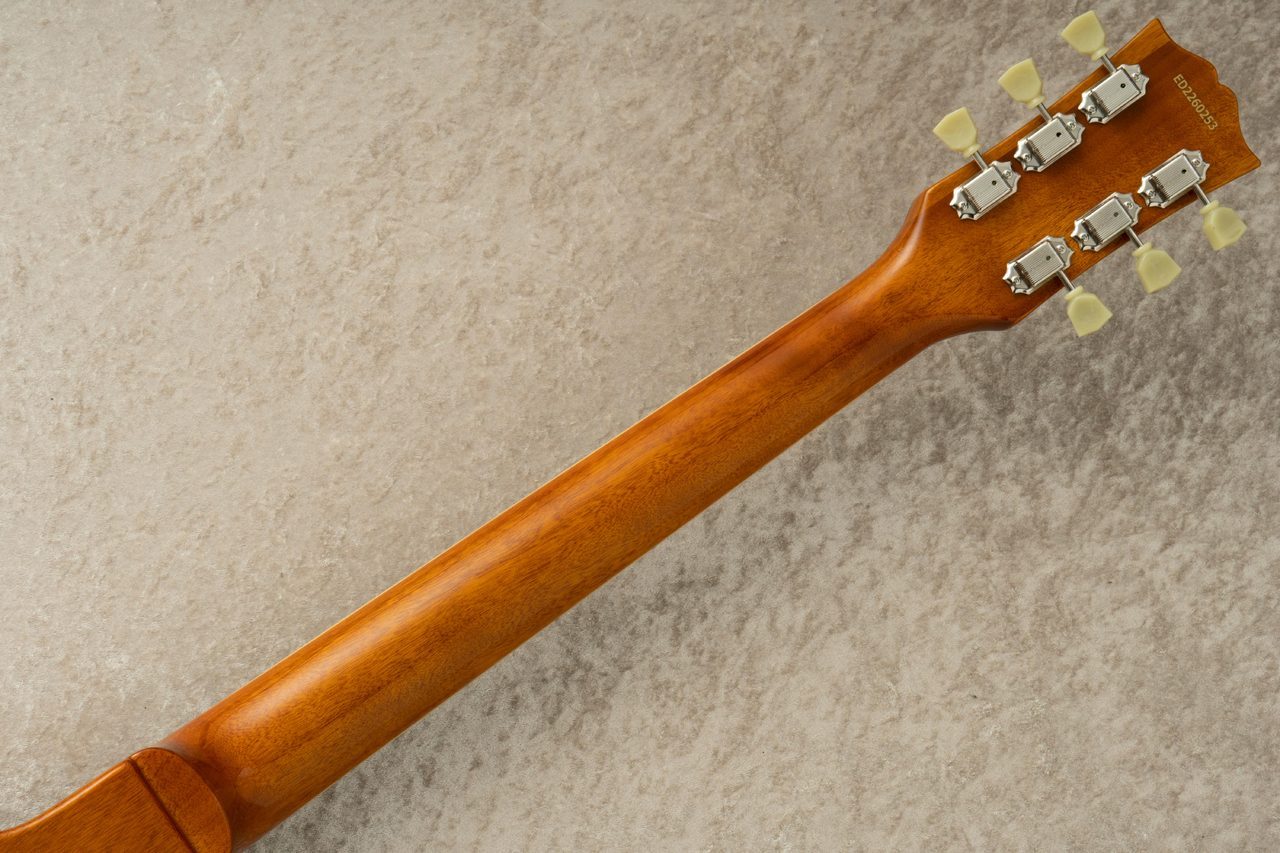 EDWARDS E-LP-STD -Gold- #ED2260253 【旧定価】【町田店