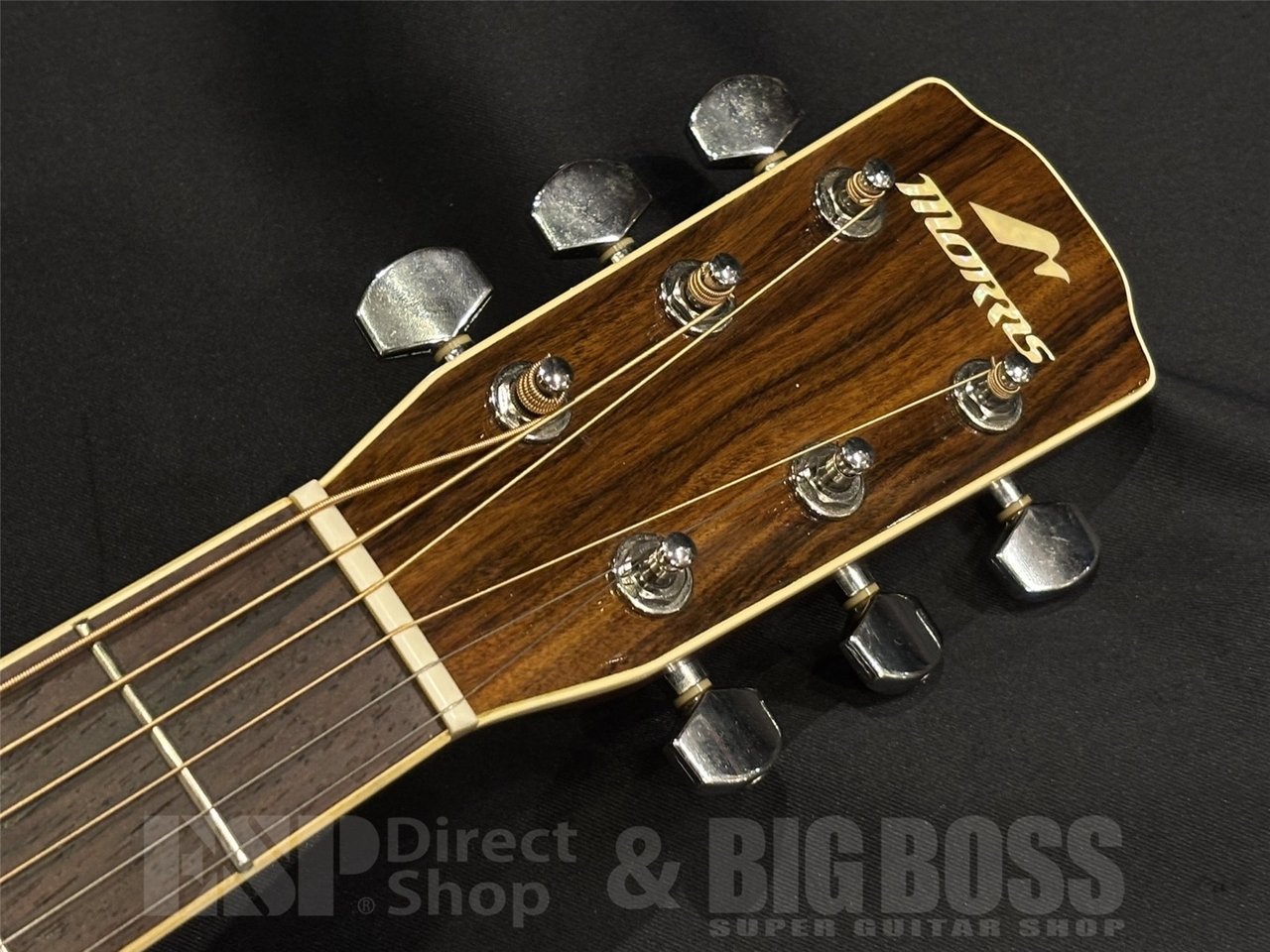 Morris MF501 / Natural（中古/送料無料）【楽器検索デジマート】