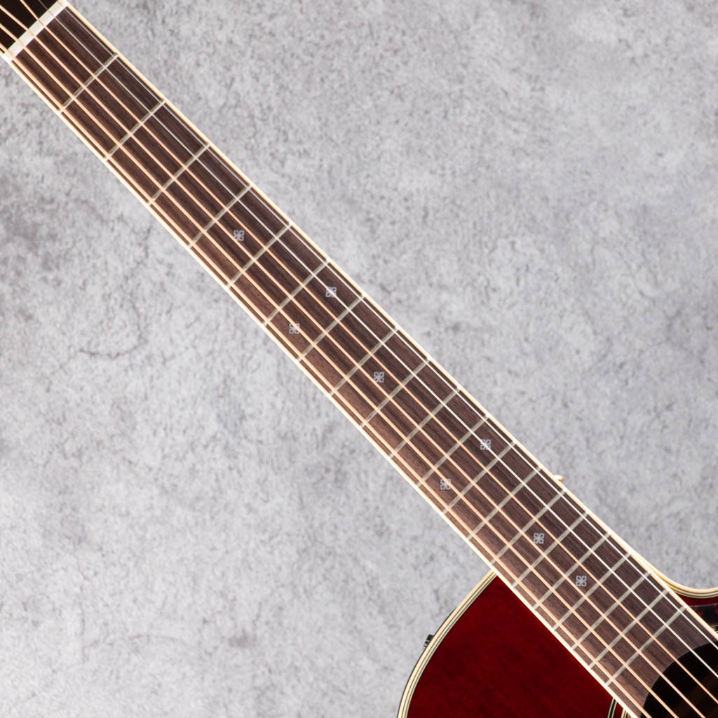 Takamine DMP551C WR（新品）【楽器検索デジマート】