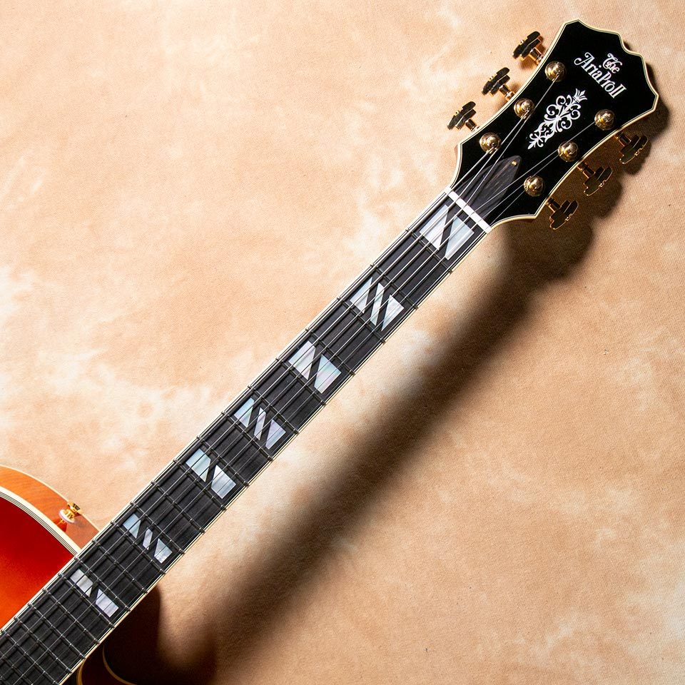 Aria Pro II FA-2100 ALB(Almond Burst)【お取り寄せ商品
