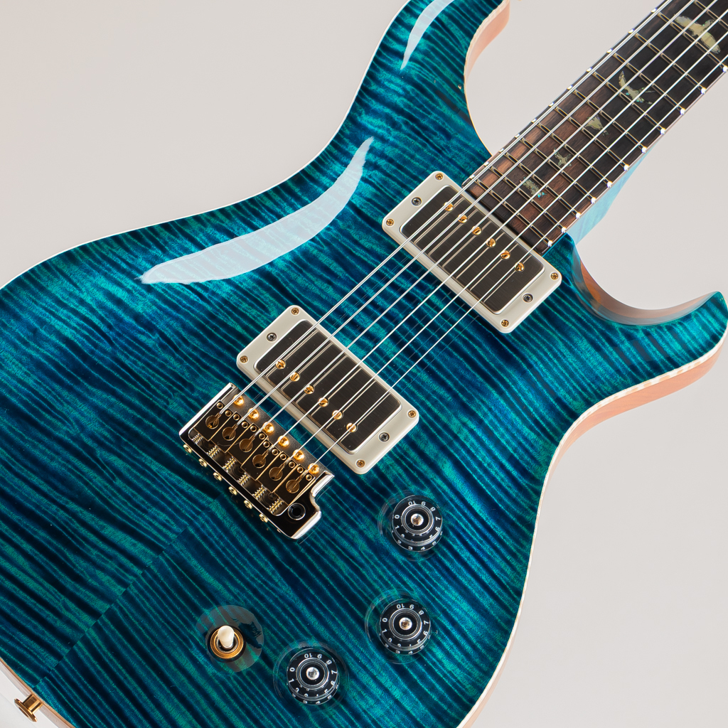 Paul Reed Smith(PRS) Miki 200th Anniv. Wood Library DGT 