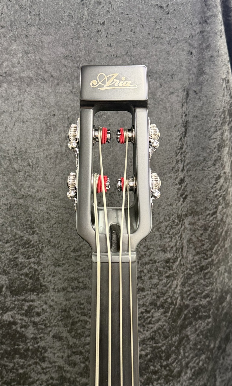 ARIA SWB-200 BR（新品）【楽器検索デジマート】