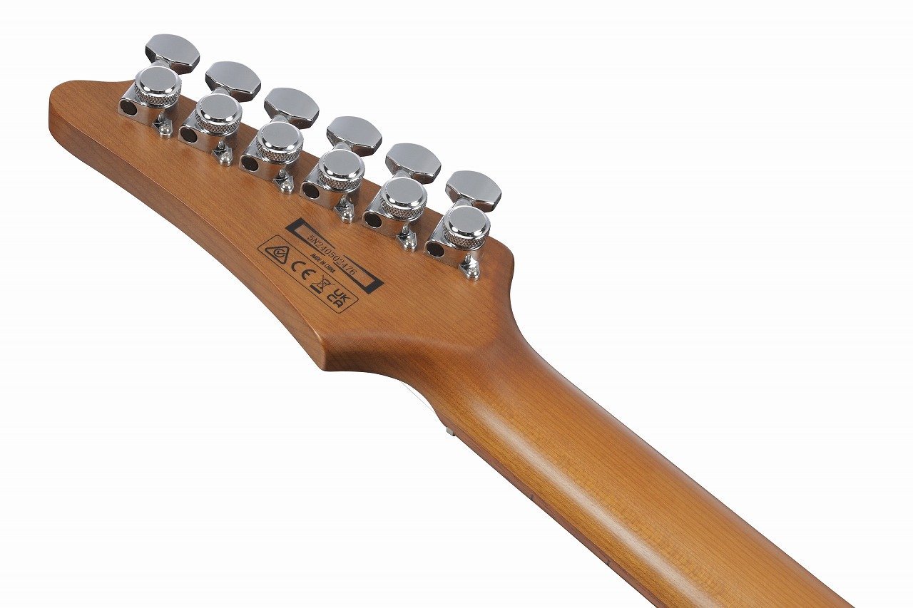 ギター エレキギター 美品 Ibanez アイバニーズ RGV250 WH ホワイト 初心者14点セット