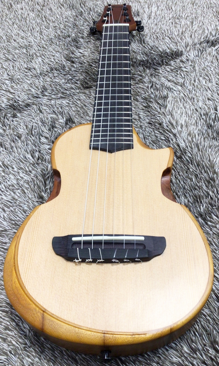 Ibanez AUP10N OPN 【ピッコロギター(ギタレレと同チューニング