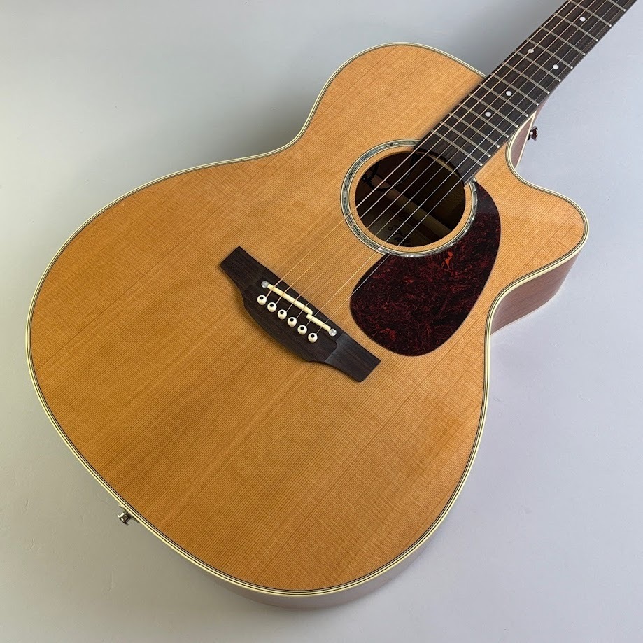 タカミネ　アコースティックギター ソフトケース付き　PTU731KC N Takamineアコースティックギター ソフトケース付き タカミネ