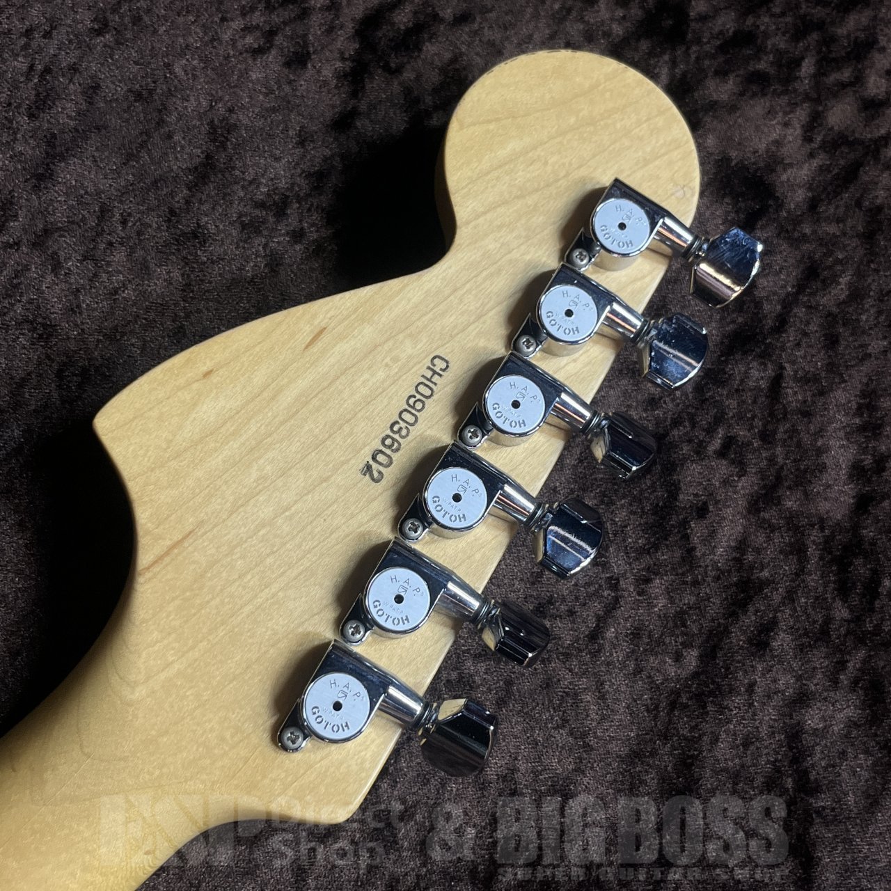 ESP ESP Custom Order ST-ALM-SC（中古/送料無料）【楽器検索デジマート】