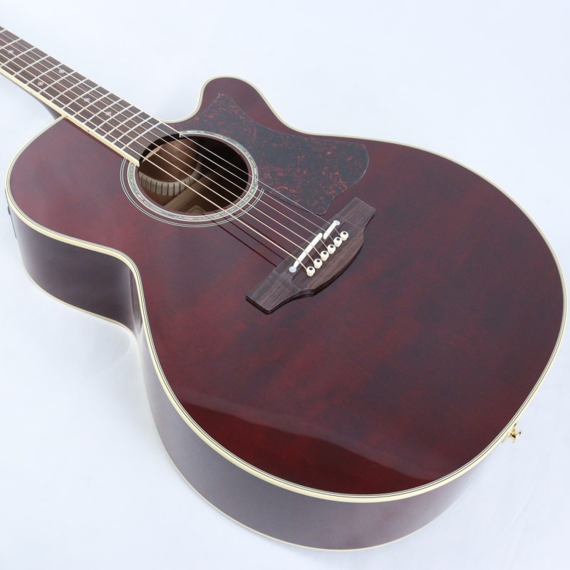 Takamine DMP551C WR タカミネ（新品）【楽器検索デジマート】