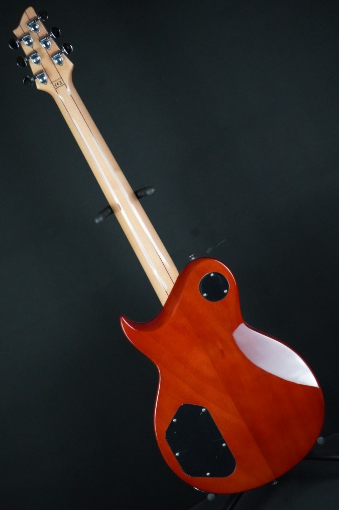 Aria Pro II PE-480 SPK（新品）【楽器検索デジマート】