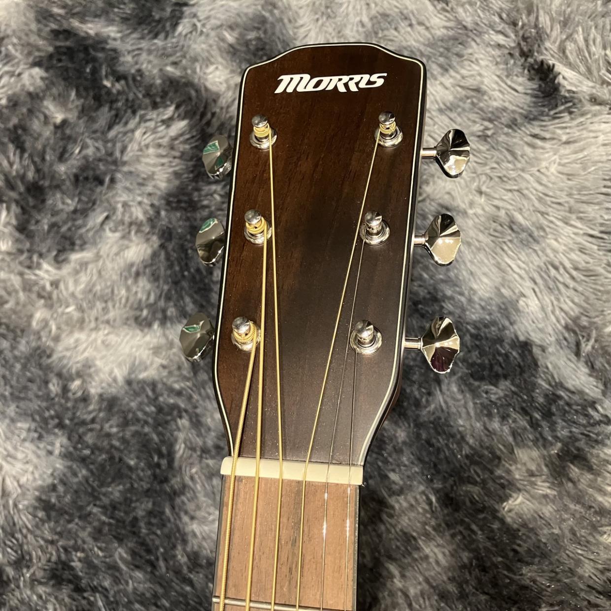 Morris M-1 BS(Brown Sunburst)【特価】（新品特価）［デジマートSALE