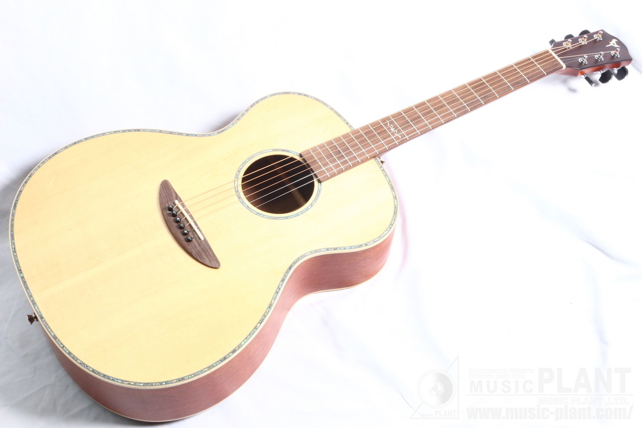 DreamComesTrue アコースティックギターギター