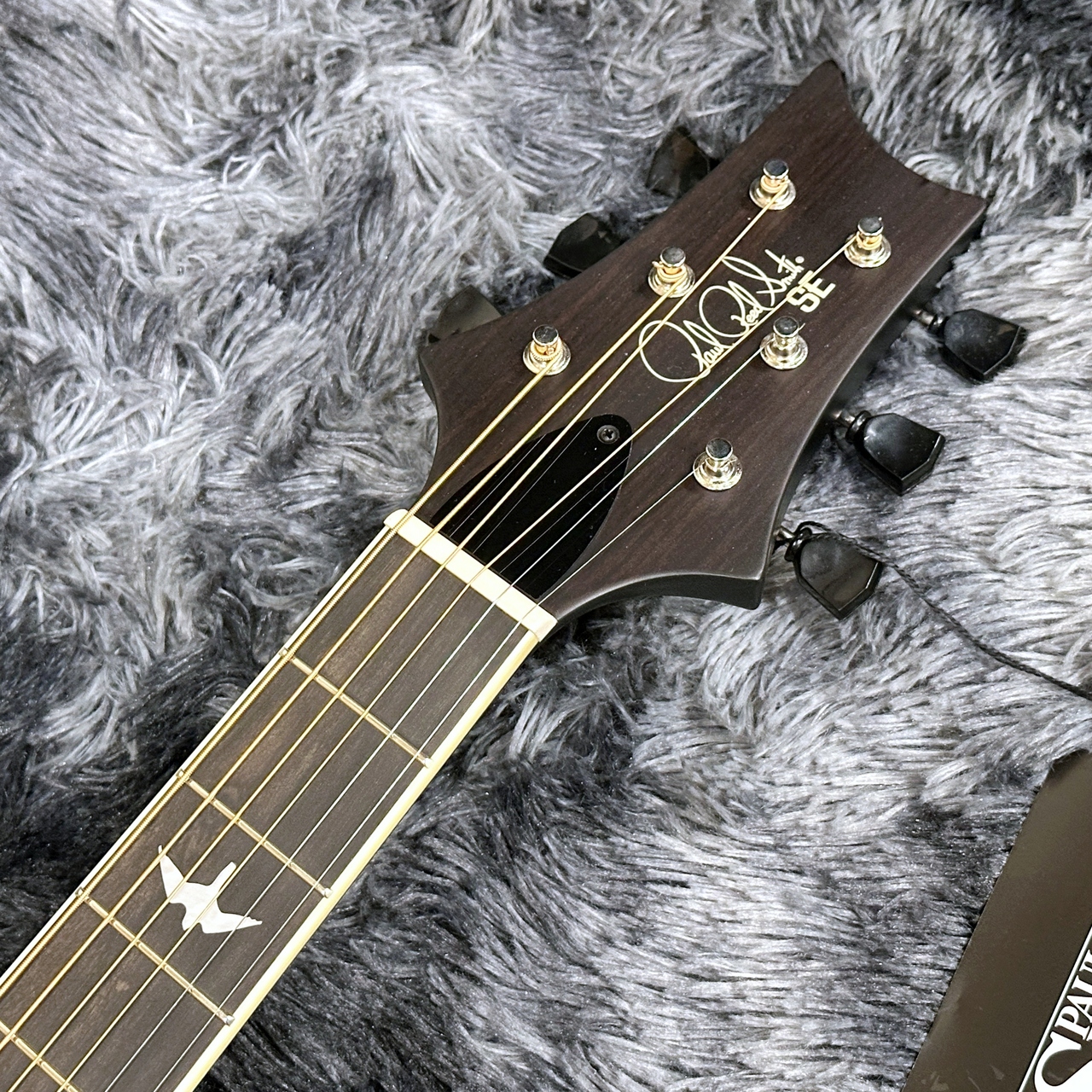 Paul Reed Smith(PRS) SE P20E Parlor Dog Hair【NEWカラー