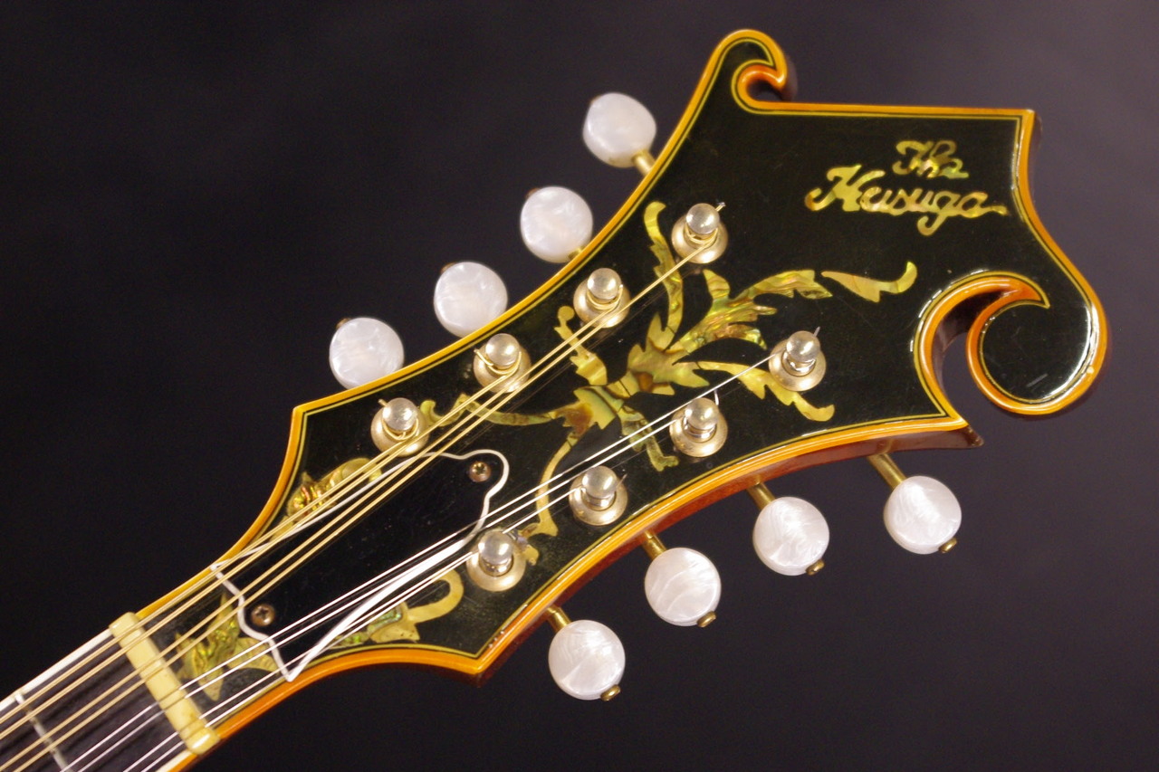 KASUGA M-120（ビンテージ）【楽器検索デジマート】