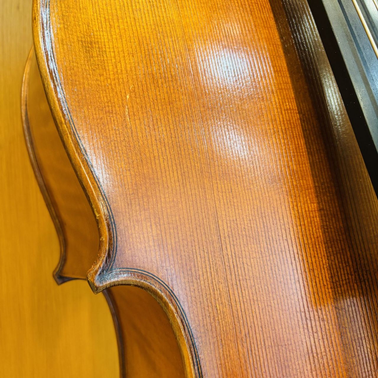 Carlo Giordano SC-160 7/8（中古/送料無料）【楽器検索デジマート】
