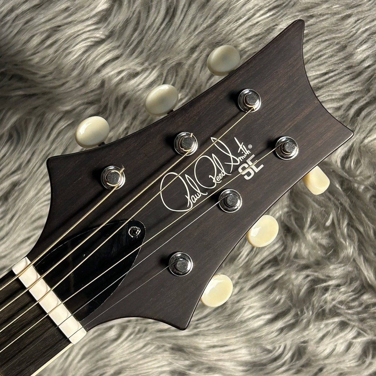 Paul Reed Smith(PRS) SE Parlor VM アコースティックギター