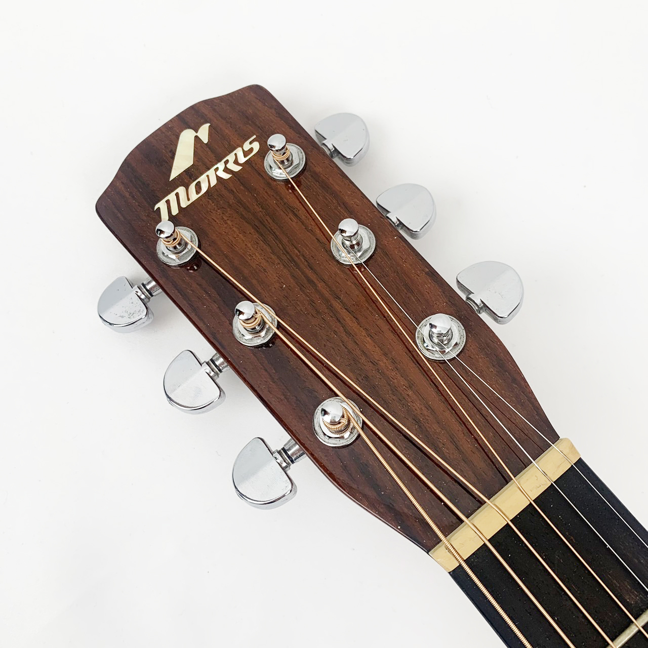 ギター用ケース | アクセサリー | MORRIS GUITARS モーリスギター