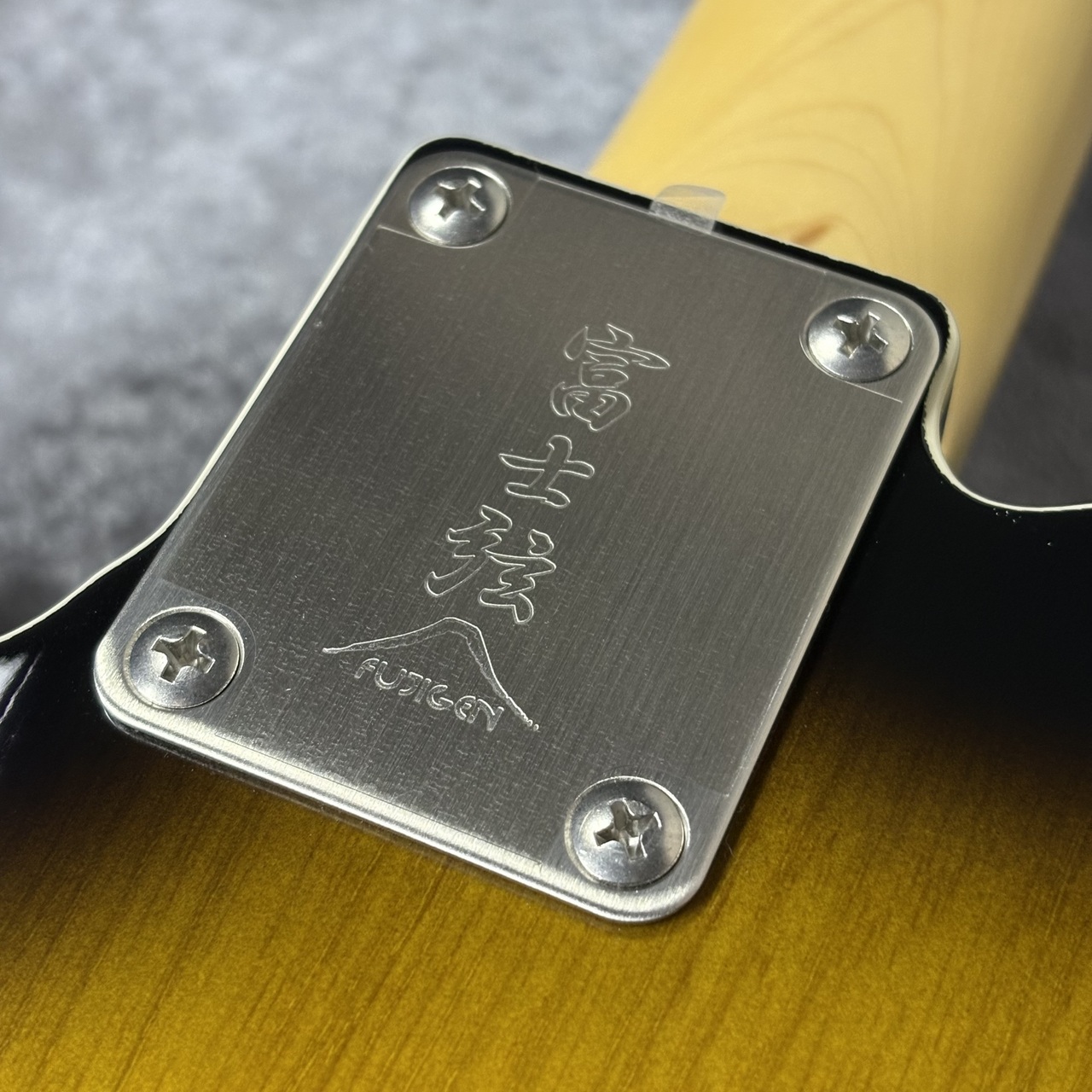 FUJIGEN(FGN) Neo Classic NTE210RAH-2TS ~2Tone Sunburst
