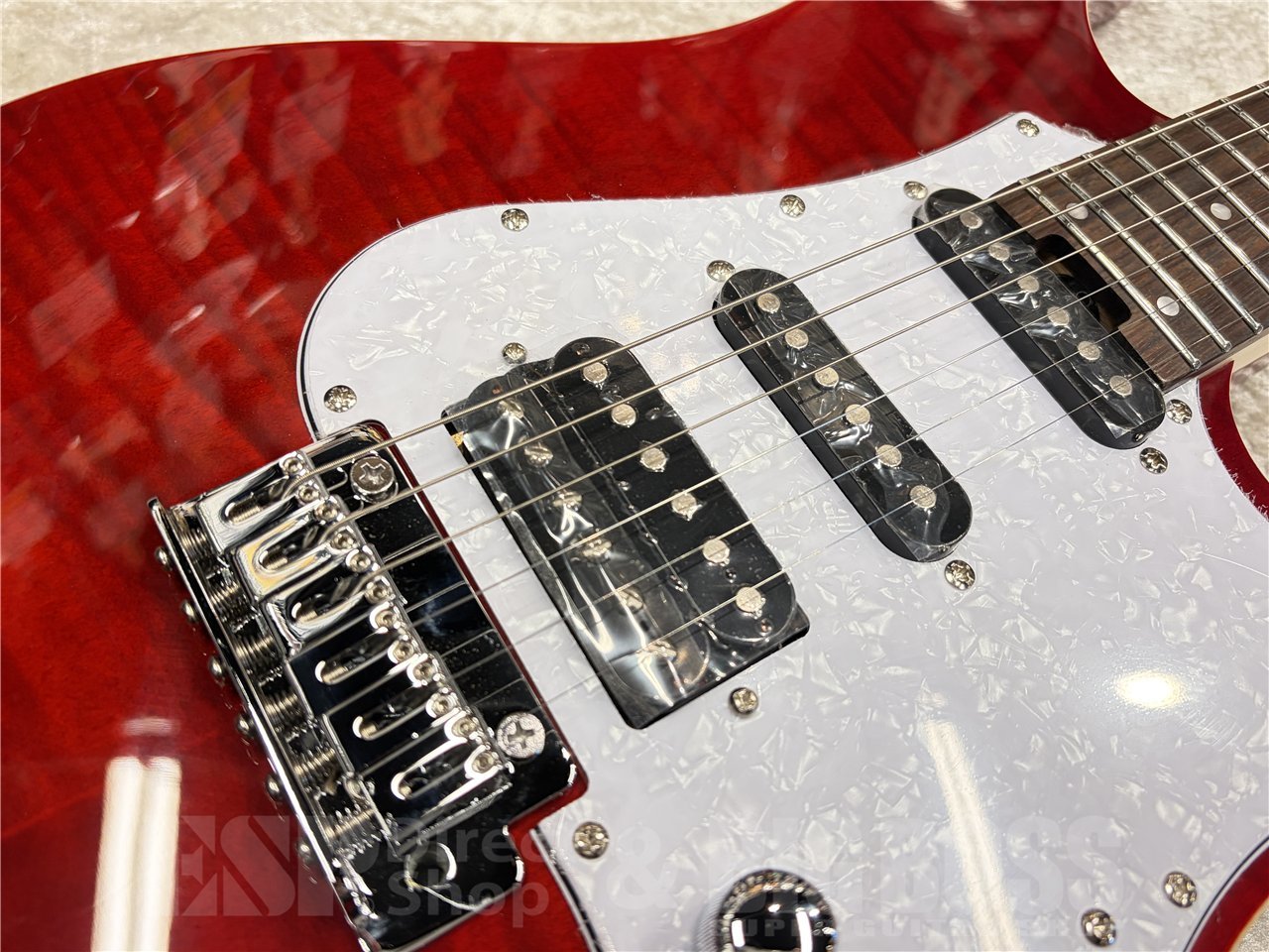 GrassRoots G-SNAPPER-CTM【See Thru Red】（新品/送料無料）【楽器