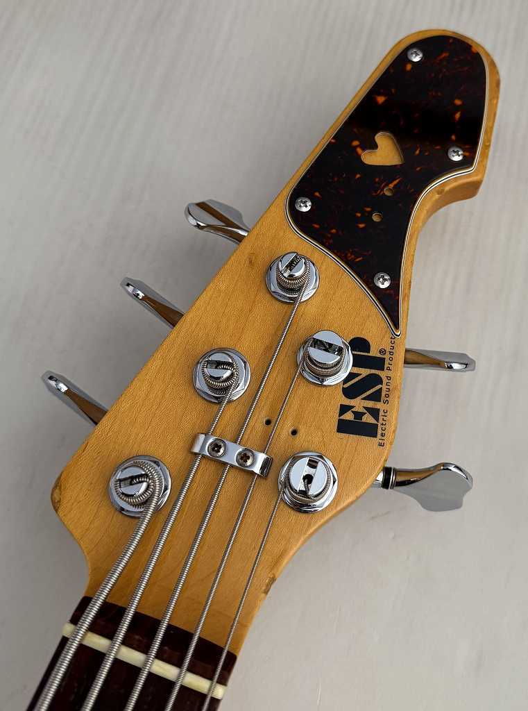 AP-SL5/M | ESP GUITARS