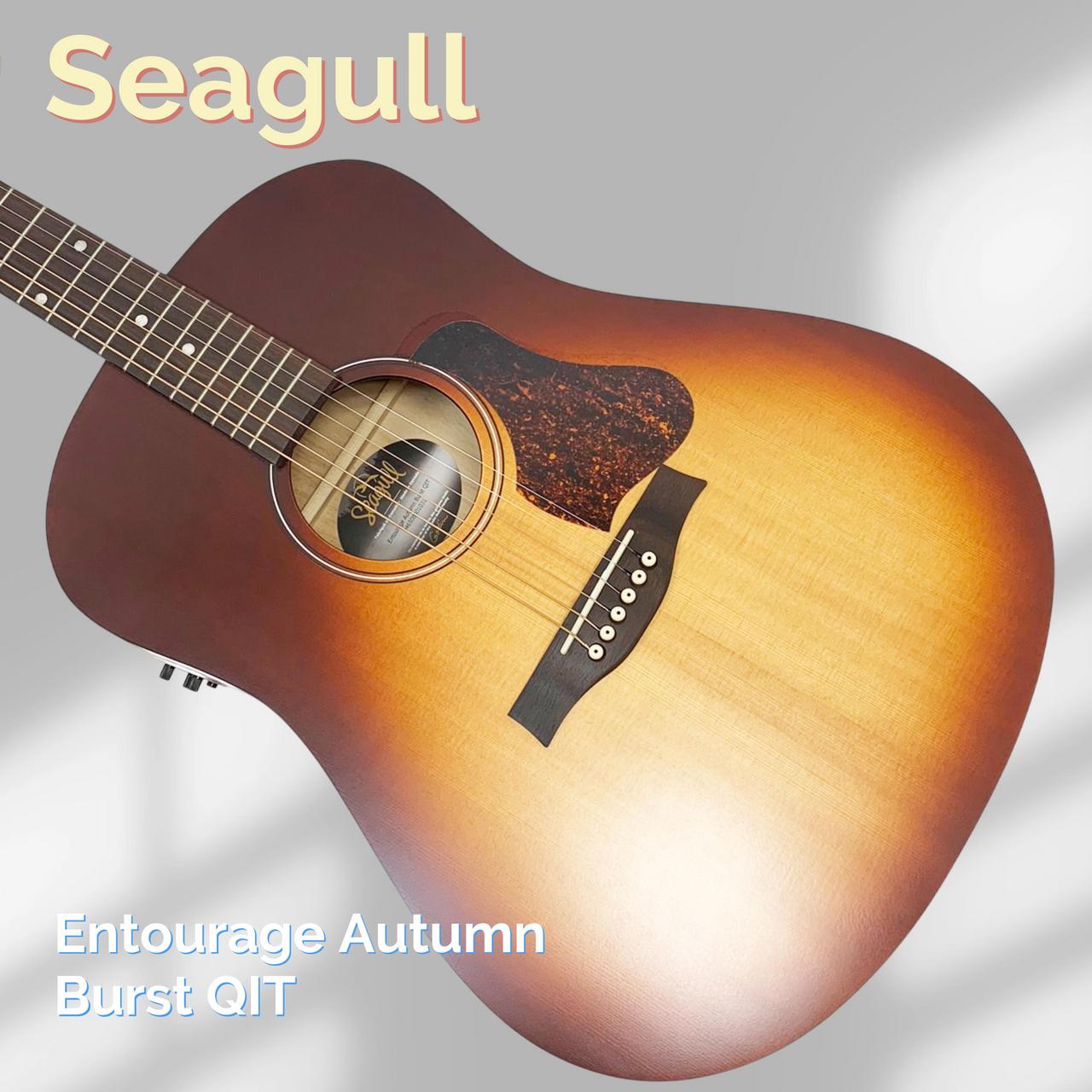 カナダ製シーガルアコースティックギター スプルーストップ Seagull