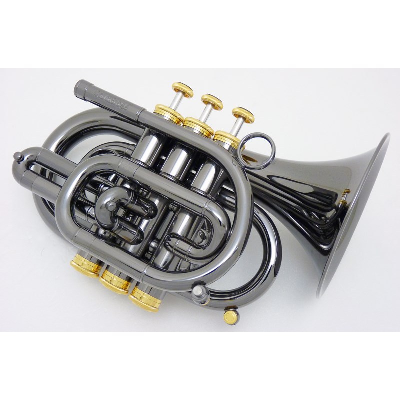 4年保証 Carol Brass N3000 Blk Gb 135 2 ポケット トランペット 新品チョイキズ超特価 Riosmauricio Com