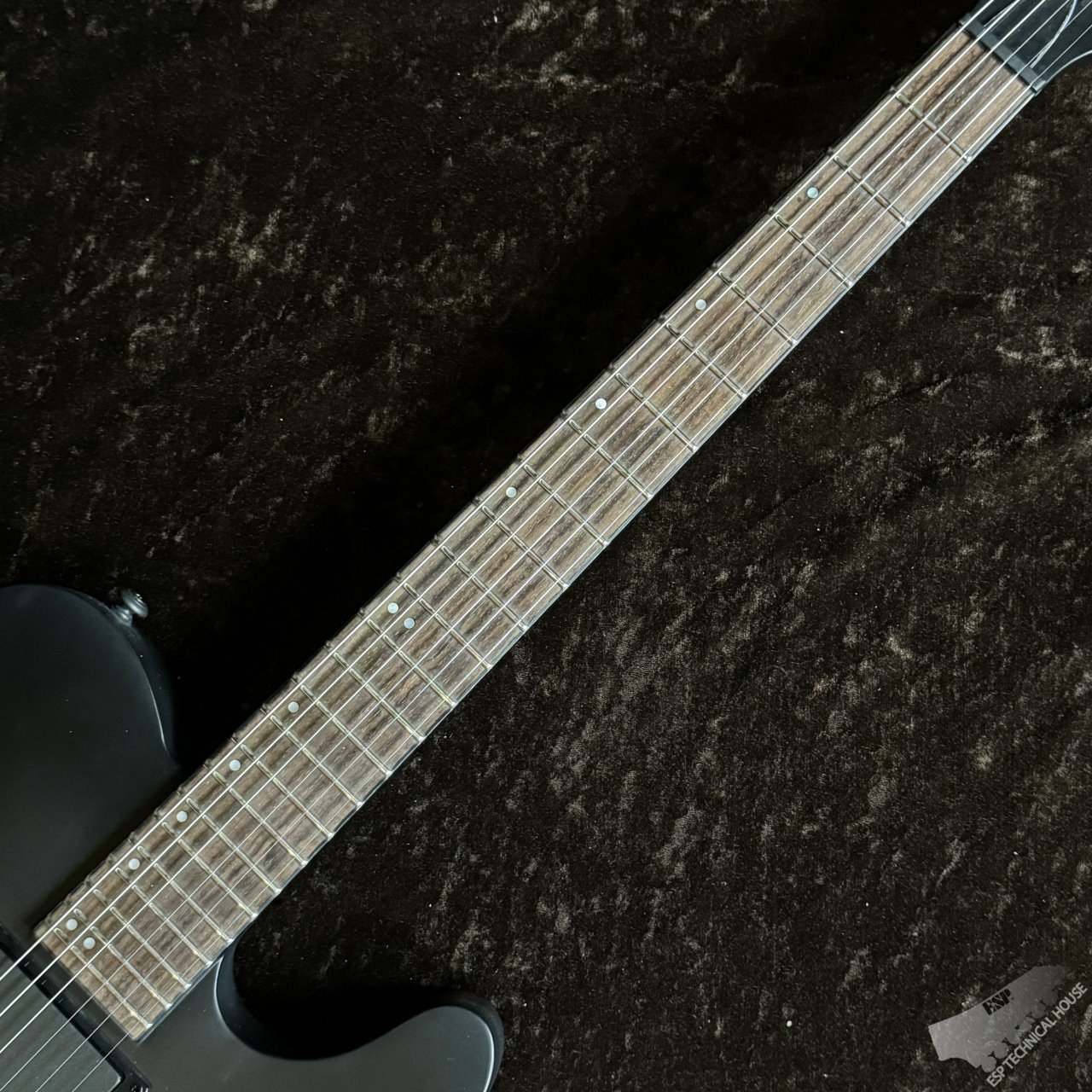 LTD TE-401（新品/送料無料）【楽器検索デジマート】